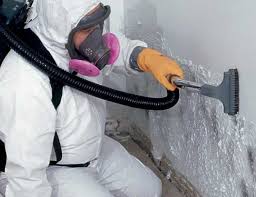 Best Forensic Mold Investigation  in Lakemoor, IL